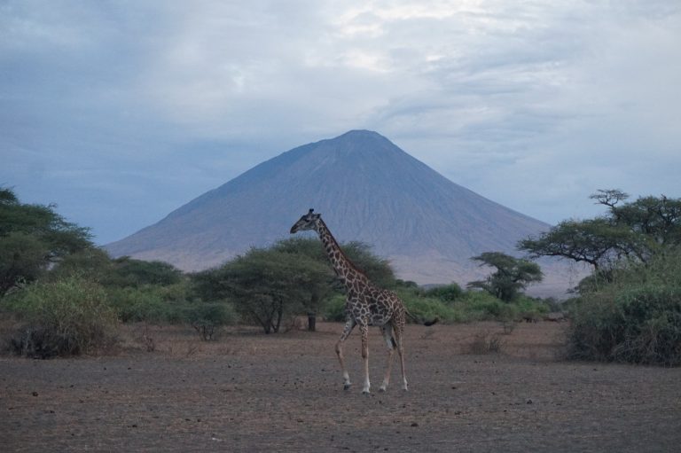 IMG-20250825-WA0020