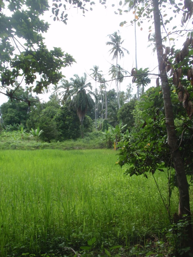 IMG-20250825-WA0025